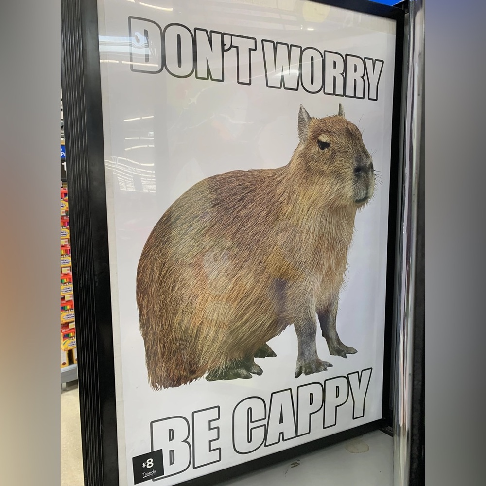 Don't Worry Be Cappy Capybara Poster